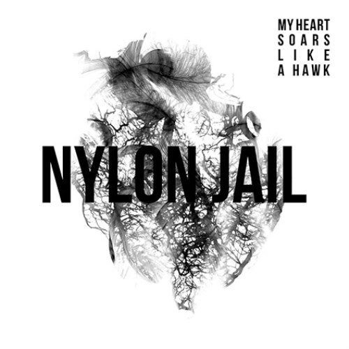 nylon_jail (500 x 500)