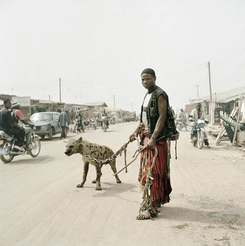 hyena a lide Nigeria_4