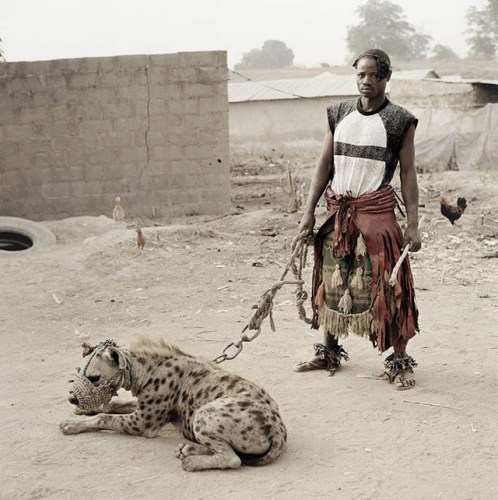 hyena a lide Nigeria_5