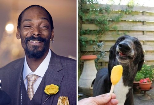 Snoop Dog a pes