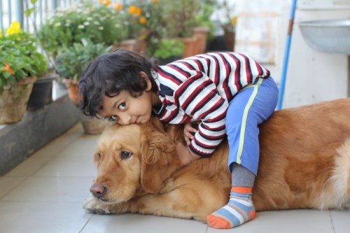 děti a psi si dokonale rozumějí_foto_9