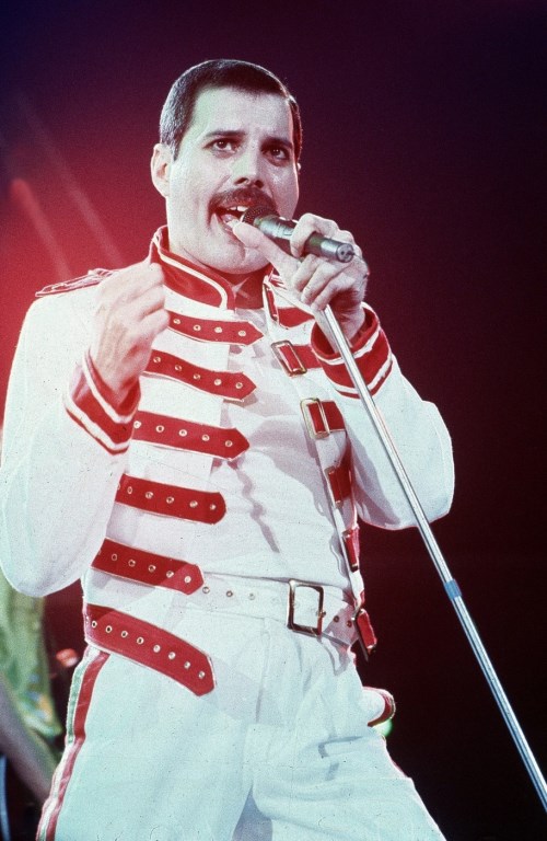 Freddie Mercury (500 x 768)