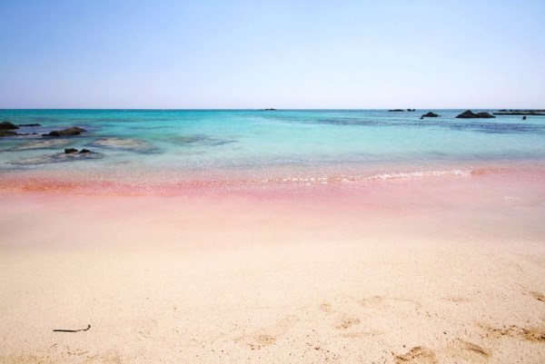 Elafonissi Beach - Elafonissi, Řecko (600 x 401)