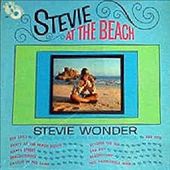 Stevie at the Beach